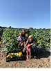 Fourth Generation  Family - Cody Wheeler and his family, son of Rod Wheeler. His son Jake and daughter Cali could be 5th generation